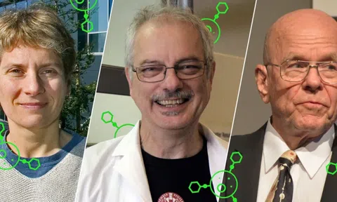 Giải Nobel Hóa học 2022: Hóa học click và ứng dụng trong nghiên cứu tế bào sống