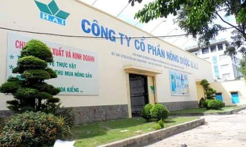 Agribank kê biên, đấu giá thu hồi nợ 4 khu đất 10.000 m2 liên quan đến FLC