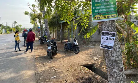 Thị trường lao dốc, nên cắt lỗ hay tiếp tục chờ đợi?