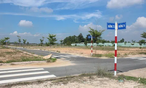 Khởi tố công ty bất động sản bán dự án chui tại Đồng Nai