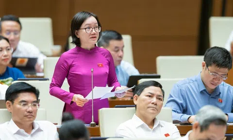 Đại biểu quốc hội: Lĩnh vực bất động sản có nguy cơ cao bị tội phạm rửa tiền tấn công