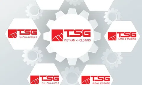 Chào bán chứng khoán “chui” TSG bị xử phạt