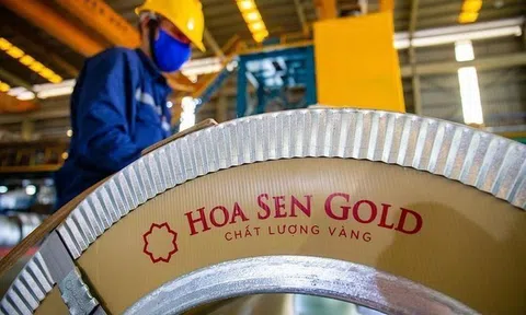 Cổ phiếu mất gần 70% thị giá, nhiều lãnh đạo Hoa Sen vẫn ồ ạt “xả hàng”