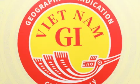 Biểu trưng chỉ dẫn địa lý quốc gia: Bước tiến mới phát triển CDĐL của Việt Nam