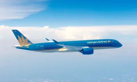 Vietnam Airlines giải trình biện pháp khắc phục tình trạng cổ phiếu trong diện kiểm soát