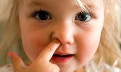 Ngoáy mũi có thể làm tăng nguy cơ mắc Alzheimer và bệnh sa sút trí tuệ