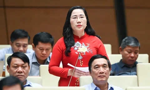 5 chiêu trò phổ biến để lách luật trong hoạt động đấu thầu