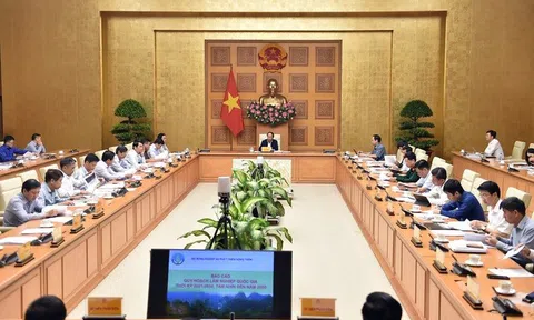 Hội đồng thẩm định thông qua Quy hoạch lâm nghiệp quốc gia