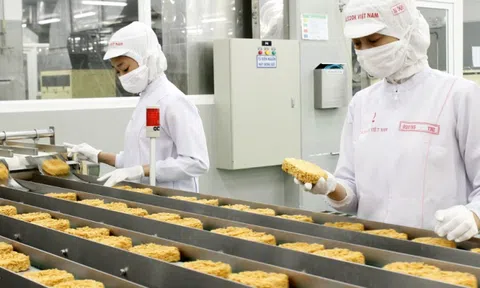Dự thảo Chiến lược Tiêu chuẩn hóa Quốc gia đến năm 2030: Để không còn “thiếu đâu bù đó”