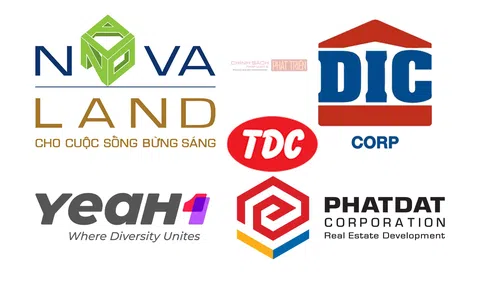 5 doanh nghiệp nói gì khi cổ phiếu giảm sàn 5 phiên liên tiếp?