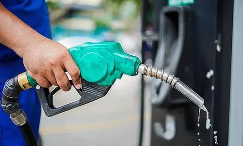 Thủ tướng Chính phủ Chính phủ yêu cầu cung đáp ứng đầy đủ nhu cầu xăng dầu của nền kinh tế và tiêu dùng của xã hội