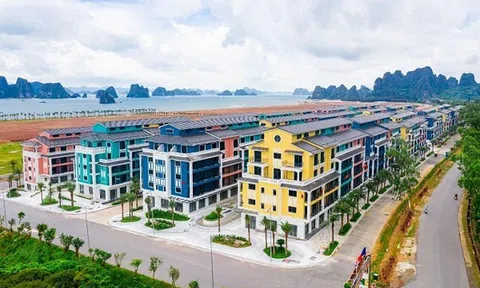 Hủy quyết định chấp thuận chủ trương dự án Sonasea Vân Đồn Habor City phân khu 2 của CEO Group