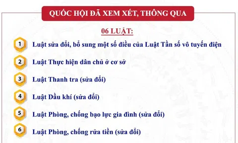 6 Luật được Quốc hội thông qua tại Kỳ họp thứ 4