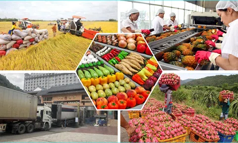 Thúc đẩy doanh nghiệp tham gia trực tiếp các mạng phân phối nước ngoài