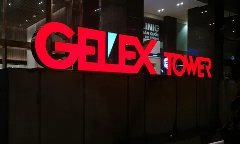 “Bốc hơi” 70% giá trị kể từ đầu năm, con gái Chủ tịch Gelex mua vào 1 triệu cổ phiếu GEX