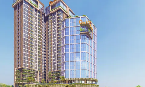 Phát Đạt muốn chuyển nhượng hơn 89% cổ phần tại Công ty cổ phần Địa ốc Hòa Bình