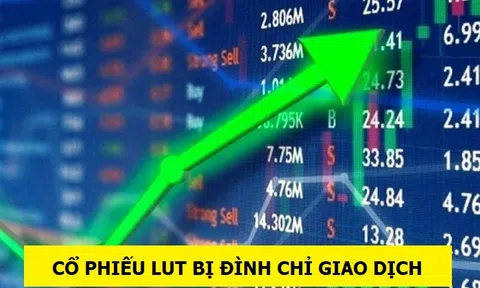 Cổ phiếu LUT của Xây dựng Lương Tài bị đình chỉ giao dịch