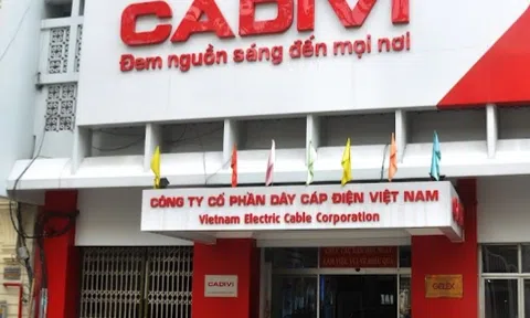 Nhiều khả năng Cadivi không còn là công ty đại chúng