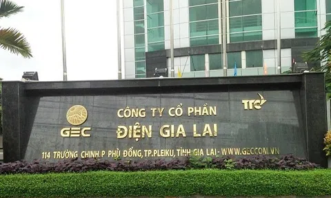 Chỉ trong 10 ngày, Điện Gia Lai giải thể 02 công ty con