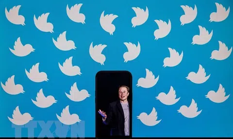 Tỷ phú Elon Musk thăm dò ý kiến về khả năng từ chức CEO Twitter