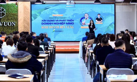 Xây dựng và phát triển doanh nghiệp MMO bền vững trong thời đại kinh tế Internet