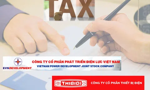 Cơ quan thuế xử phạt 02 doanh nghiệp ngành điện gần 200 triệu đồng