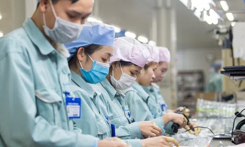 Không được ép thực tập sinh ký cam kết phải về nước nếu mang thai, sinh con