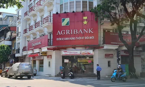 Agribank ráo riết thanh lý hàng chục nghìn tấn thép để thu hồi nợ