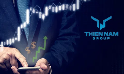 Thao túng cổ phiếu TNA, một cá nhân bị xử phạt hơn nửa tỷ đồng