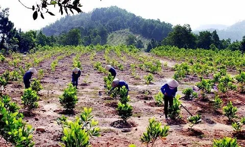 Hành vi nào bị nghiêm cấm trong Dự thảo Luật Đất đai (sửa đổi)?