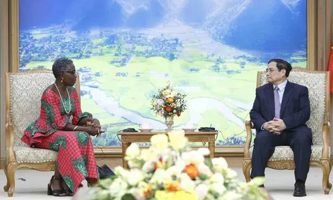 Phó Tổng Giám đốc IMF: Việt Nam là một trong những nền kinh tế có thành tích tốt nhất khu vực châu Á-TBD