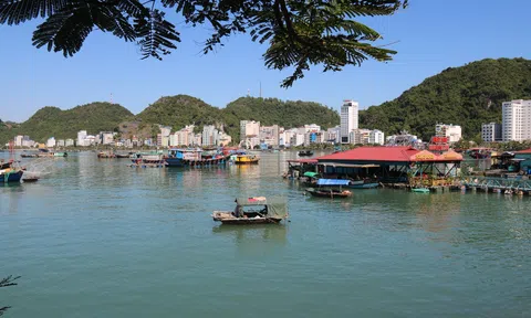 Hải Phòng đấu giá lần 2 khu đất Vịnh Trung tâm Cát Bà, giá khởi điểm hơn 2.100 tỉ đồng