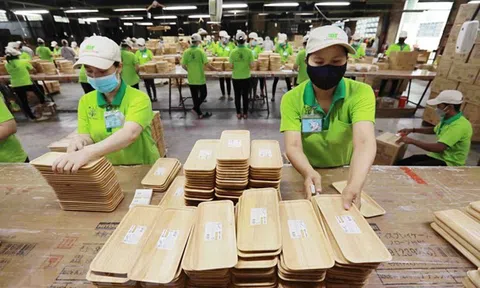 Xuất khẩu gỗ hướng tới mục tiêu 18 tỷ USD trong nhiều thách thức