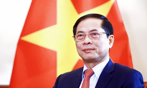 Bộ trưởng Bùi Thanh Sơn: Phát triền nền ngoại giao Việt Nam “vừa hồng vừa chuyên”