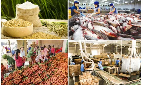 Doanh nghiệp Anh tìm kiếm cơ hội nhập khẩu sản phẩm Việt