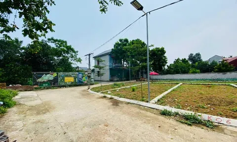 Đất nền vùng ven Hà Nội nổi sóng đầu năm?
