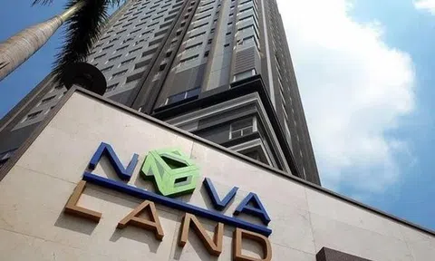 Con gái ông Bùi Thành Nhơn dự chi trăm tỷ mua cổ phiếu Novaland
