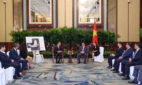 Quỹ đầu tư Singapore lên kế hoạch cho dự án 1,6 tỷ USD tại Củ Chi