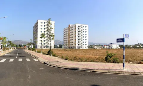 Kiểm tra các dự án có dấu hiệu không đưa đất vào sử dụng, chậm tiến độ sử dụng tại Kon Tum