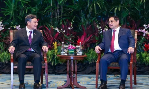 Tập đoàn Singapore làm dự án điện gió tại Việt Nam để xuất khẩu