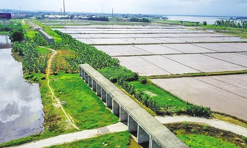 Thủ tướng yêu cầu sớm khởi động lại dự án đường sắt Yên Viên – Phả Lại sau 12 năm đình trệ