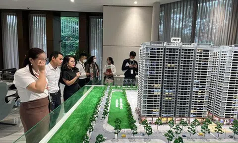 Giải mã nguyên nhân doanh nghiệp đói vốn vẫn không hạ giá nhà