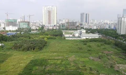 Hà Nội dự kiến dừng 4 dự án, chấm dứt hoạt động 60 dự án