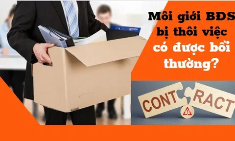 Môi giới bất động sản bị cho thôi việc, cắt hợp đồng có được bồi thường?
