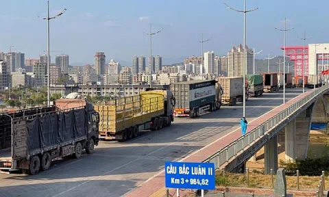 Tháng đầu năm, kim ngạch thương mại song phương Việt Nam - Trung Quốc đạt hơn 11 tỷ USD