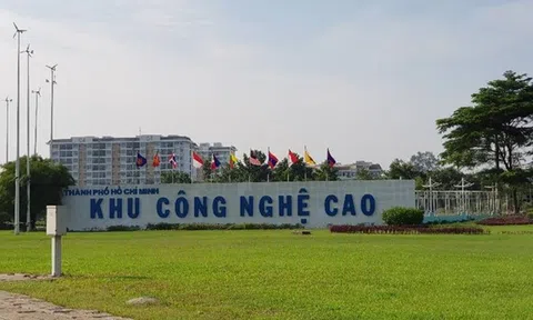 TP.HCM giảm 30% tiền thuê đất cho doanh nghiệp
