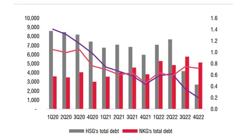 SSI Research nhận định gì về cổ phiếu Hoa Sen, Nam Kim?