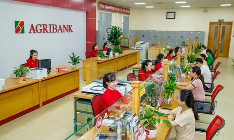 Agribank rao bán hàng loạt khu đất lớn tại TP.HCM, Khánh Hòa, Bình Thuận để thu hồi nợ