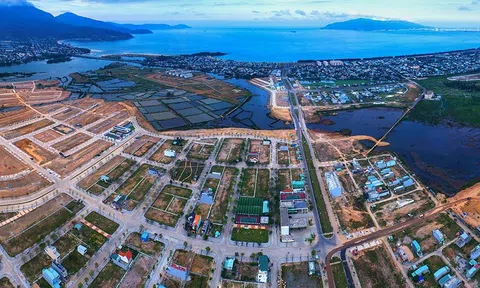 Trung Nam bị cưỡng chế thuế hơn 445 tỷ đồng