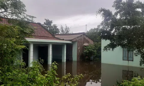 Sống trên đất vàng ven biển Bài 2: Đi tìm giải pháp